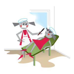 HÜGIEENIKOOLITUS RIPSME- JA KULMUTEHNIKUTELE osta siit!